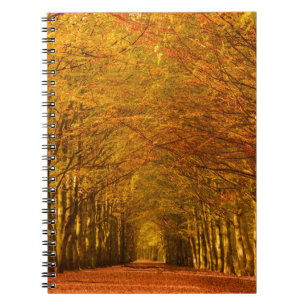 Espiral Trajeto de passeio através da floresta no caderno