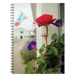 Espiral Um rosa é um caderno do rosa