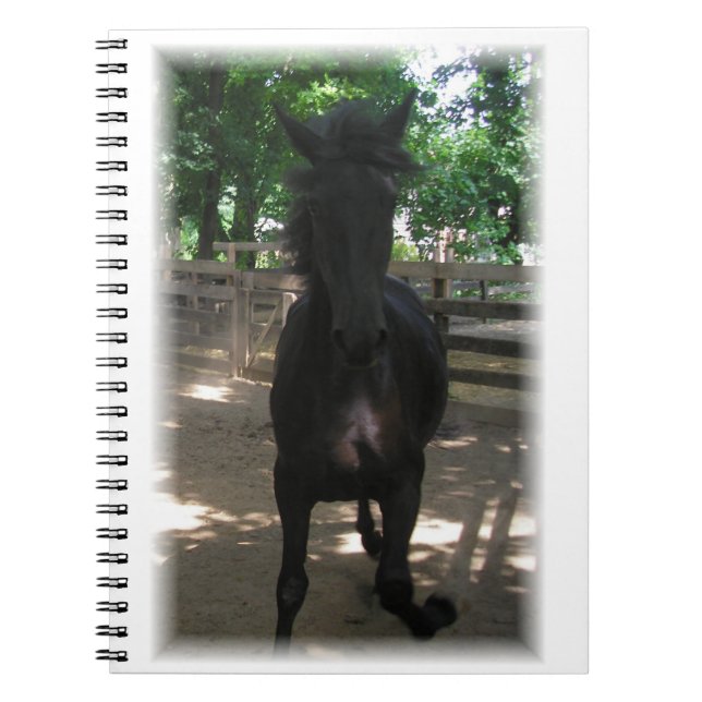 Espiral "Wild Mintaka!" Caderno (Frente)