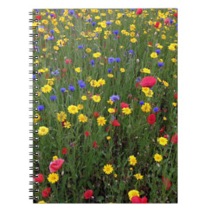 Espiral Wildflowers do verão do caderno de Loch Ness