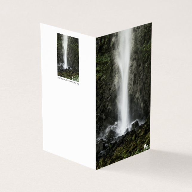 Espírito da Bacia (Exterior)