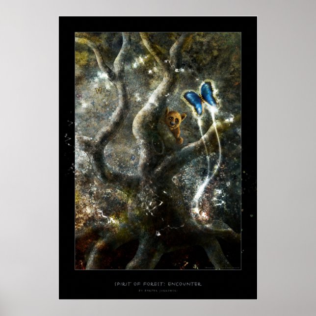 Espírito da Floresta: Encontro - Poster (Frente)