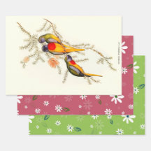 Esplêndida erva-periquita, presente