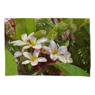 Esplendor Cor-De-Rosa, Sangue De Frangipani Rosa N