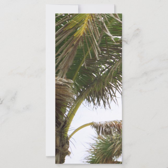 Esplendor tropical (Frente)