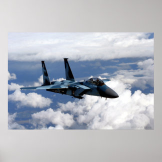 Esquadrão Agressor F-15 Eagle Poster