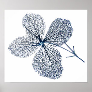 Esqueleto da Flor ~ impressão