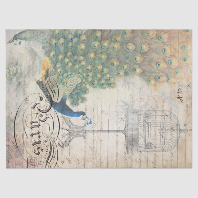 Esquerda de papel de Decoupage das coisas efêmeras (Frente )