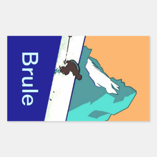 Esqui de Brule Mtns das etiquetas da bagagem das