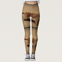 Esquilo à terra do Legging "Charlie de