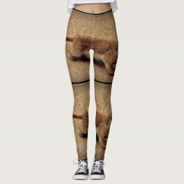 Esquilo à terra do Legging "Charlie de