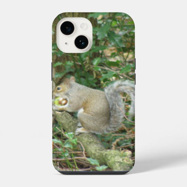 Esquilo com Bolota (Verso)