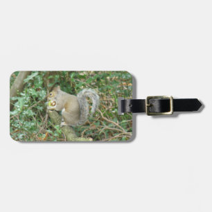 Esquilo com Etiqueta de Bagagem Personalizada Acor