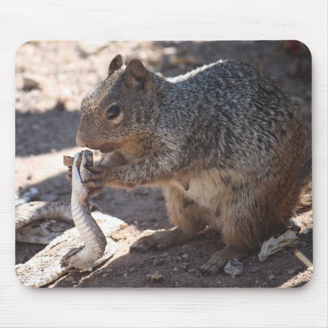 Esquilo contra o cascavel Mousepad (Frente)