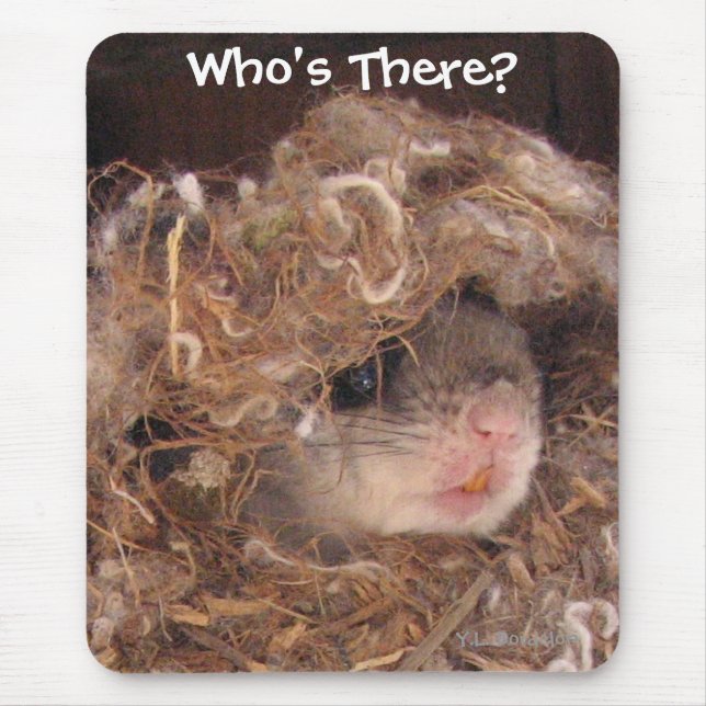 Esquilo de vôo Mousepad (Frente)