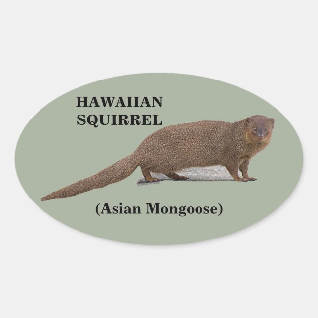 Esquilo Havaiano (Mongoose Asiática) Autocolantes  (Frente)