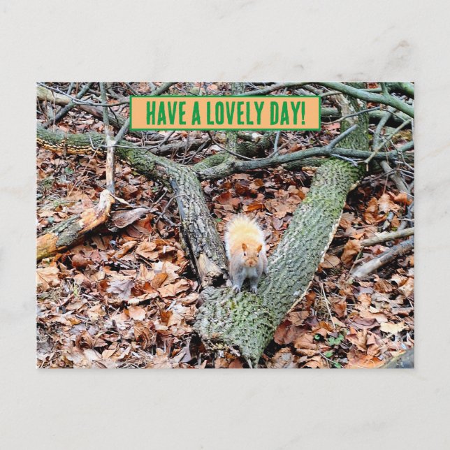 Esquilo no cartão de saudação da floresta (Frente)