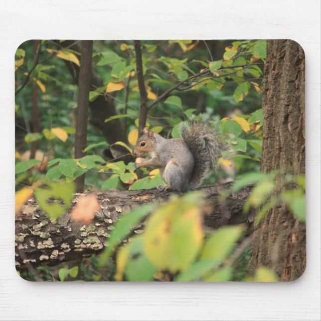 Esquilo no outono Mousepad (Frente)