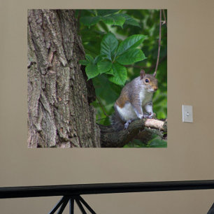 Esquilo no Poster de Foto em Árvore