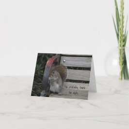 Esquilo num Cartão de Nota de Banco de Parque