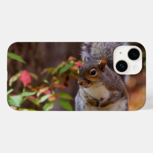 Esquilo Patientemente Inicia capas de iphone