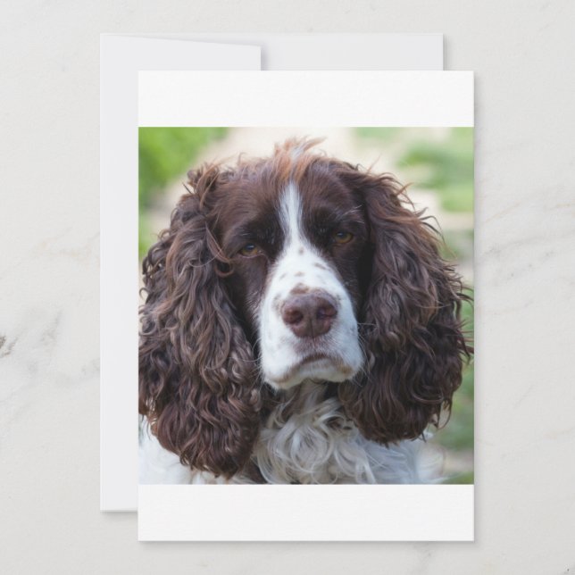 ESS fígado branco segundo (Frente)