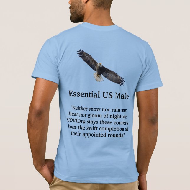 Essencial T-Shirt masculino dos EUA (Verso)