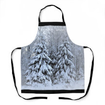 Esta é a estação acima do norte do Mn, fronteira n