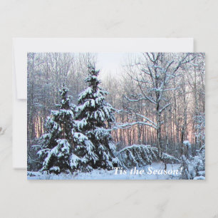 Esta é a estação acima do norte! Rosy Sunset