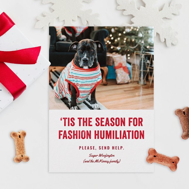 Esta é a estação para o Natal da Humilhação (funny humor Christmas holiday photo cards for pets in ugly sweaters or costumes fashion)