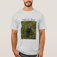"ESTA É t-shirt da rã-gigante de BULL"