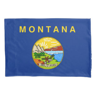 Estado de bandeira do caso de Travesseiro de Monta