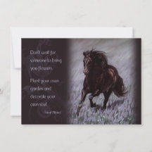 Estalhão Negro em um Campo de Sonhos