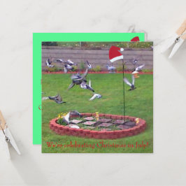 Estamos comemorando o Natal em julho, aves convida