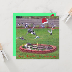 Estamos comemorando o Natal em julho, aves convida