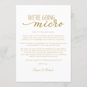 Estamos Indo para um Micro Casamento - Anúncio de