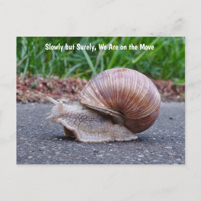 Estamos ligando o cartão postal (Frente)