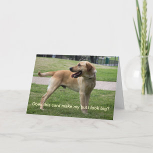 Este cartão faz meu bumbum parecer grande?