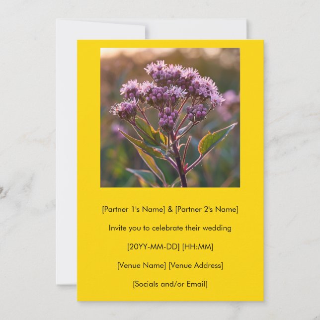 Este É O Seu Convite De Febre Joe-Pye (Frente)