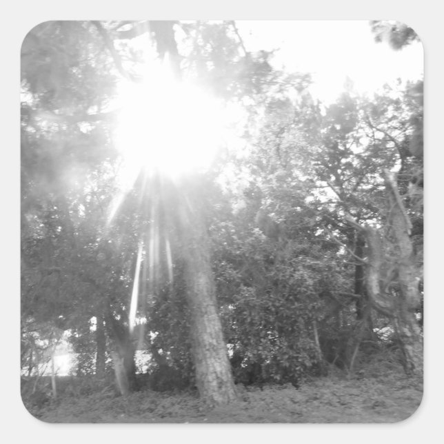 ESTILO ART&DESIGN DE ETIQUETA DE RÓTULO (Frente)