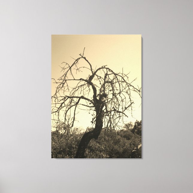 ESTILO CANVAS ART E DESIGN (Frente)