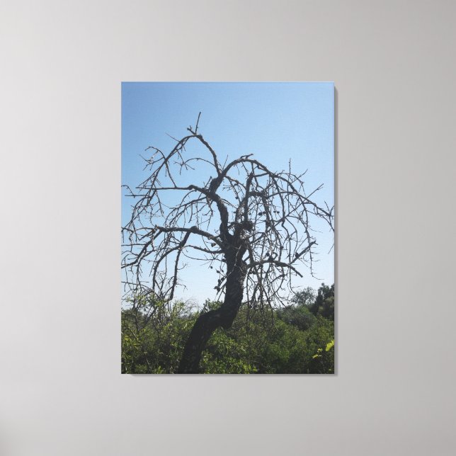 ESTILO CANVAS ART E DESIGN (Frente)