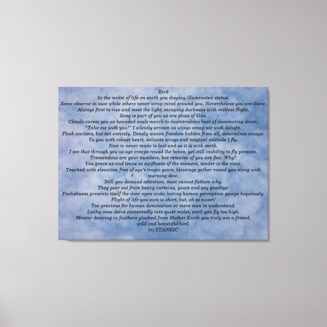 ESTILO DE ARTE&DESIGN DE CANVAS DE DE WALL (Frente)