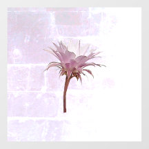 ESTILO DE PAREDE DECAL E DESIGN