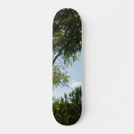 ESTILO E DESIGN DE SKATE