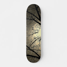 ESTILO E DESIGN DE SKATE