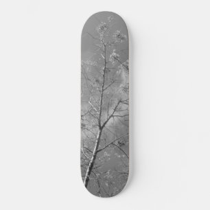 Estilo e design de skate