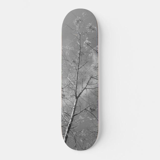 Estilo e design de skate (Frente)