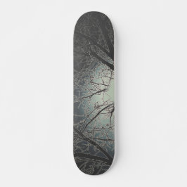 ESTILO E DESIGN DE SKATE