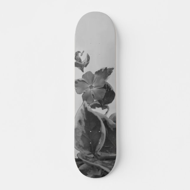 ESTILO E DESIGN DE SKATEBOARD (Frente)